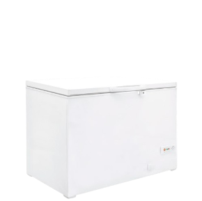 Congélateur DSL 300 L